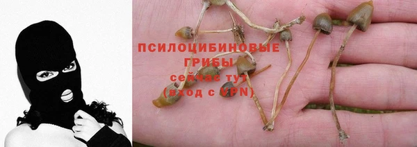 mix Абинск