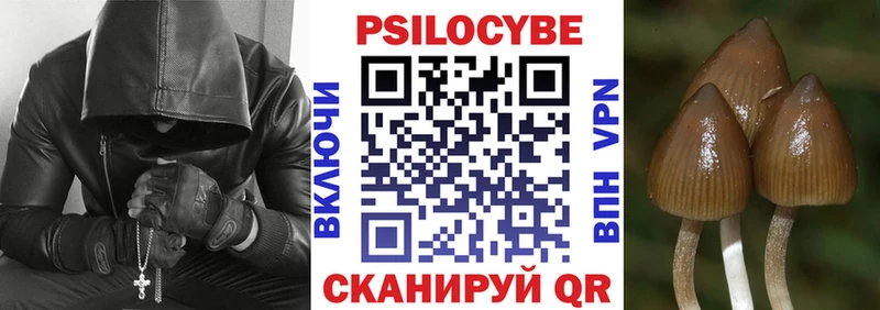 Псилоцибиновые грибы Psilocybine cubensis  где купить   Трубчевск 